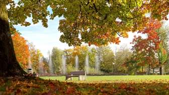 kurpark-bad-zurzach-sitzbank-im-herbst
