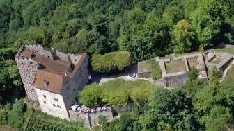 Öffentliche Führung durch Schloss Habsburg