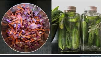 Carota Fermentationsworkshop