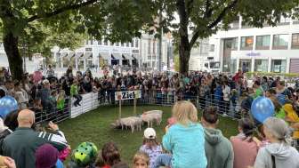 Säulirennen Ziel