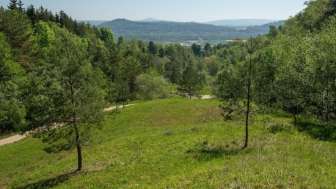 Blick über die Eriwis