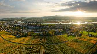 weingut-zum-sternen-aussicht-vom-rebberg