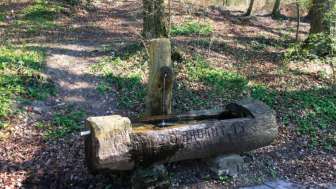 Schweizer Familie Feuerstelle Laufenburg