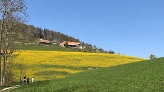 Allerheiligenberg