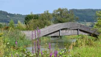 Aue Chly Rhy_Brücke mit Wiese