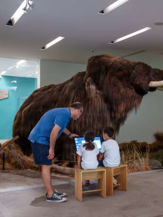 Familie bei den Mammuts im Naturama.