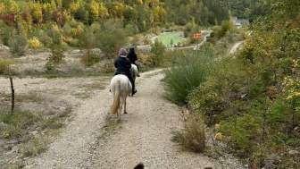 sandy-und-jessy’s-ponyparadies-ausritt