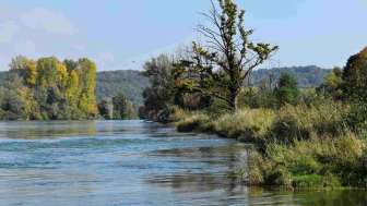 Aue Chly Rhy-Rheinufer im Herbst