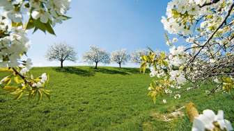 SWITZERLAND PARKS