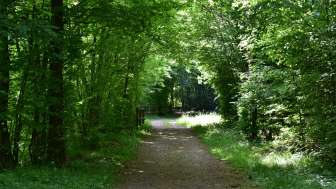 achenberg-waldweg