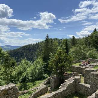 Der Jurapark Aargau ist ein Regionaler Naturpark von nationaler Bedeutung. Das Parkgebiet unweit von Bad Zurzach umfasst die Hügellandschaft des Ketten- und Tafeljuras zwischen Brugg, Laufenburg, Rheinfelden und Aarau.
Auf dem Weg ‚Rund um Sulz‘ den Cheisacherturm entdecken, in der Idylle bei Hottwil Wein und Landschaft geniessen oder Energie tanken bei der 800jährigen Linde von Linn – der Jurapark Aargau bietet Ruhe und Regeneration.