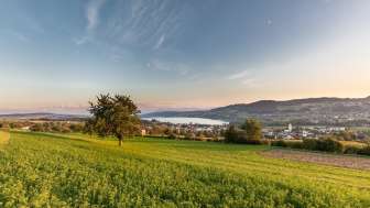 Aussicht auf den Hallwilersee