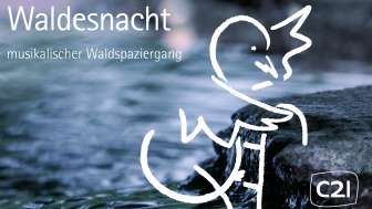 Waldesnacht