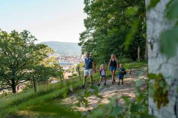 Familie erkundet den Erlebnisweg "Aarauer Waldabenteuer". Hier mit Aussicht auf Aarau.