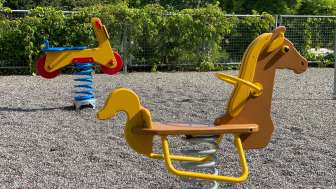 Wippen Spielplatz Reusspark
