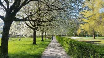 kurpark-bad-zurzach-weg