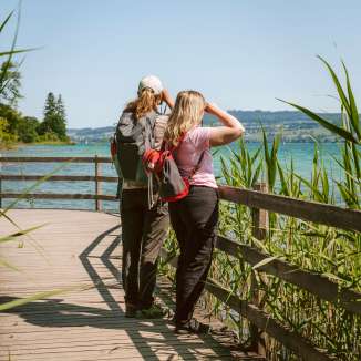 Zwei Personen stehen auf einem Holzsteg im Schilfgebiet am Hallwilersee im Aargau und beobachten die Umgebung mit Fernglas. Der Blick geht ueber das tuerkise Wasser und die huegelige Uferlandschaft. Die Szene zeigt Achtsamkeit und Naturverbundenheit.